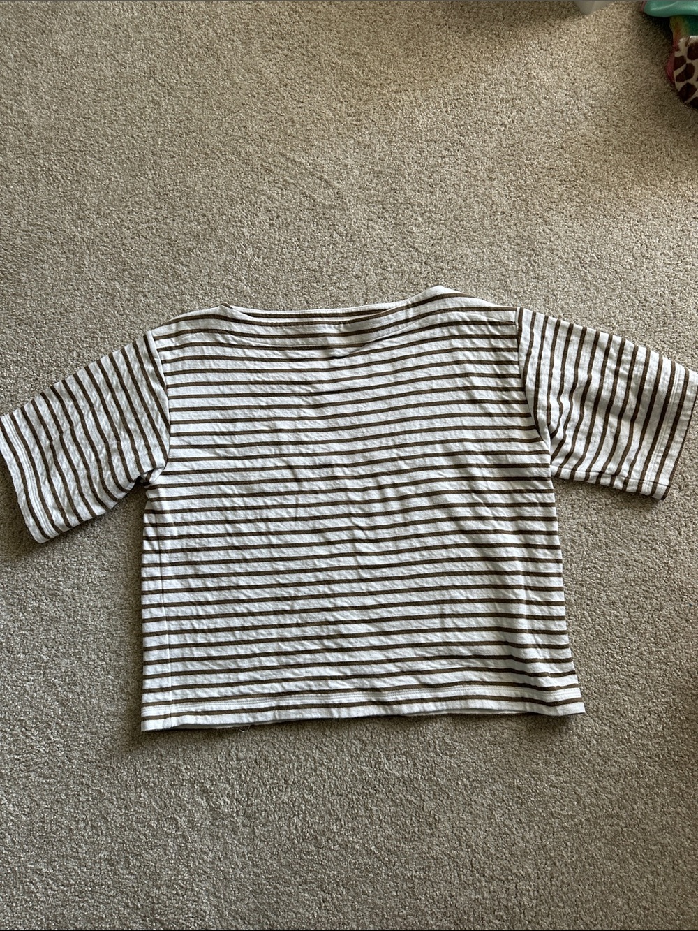 Cropped Striped Short Sleeve Tee in White and Brown